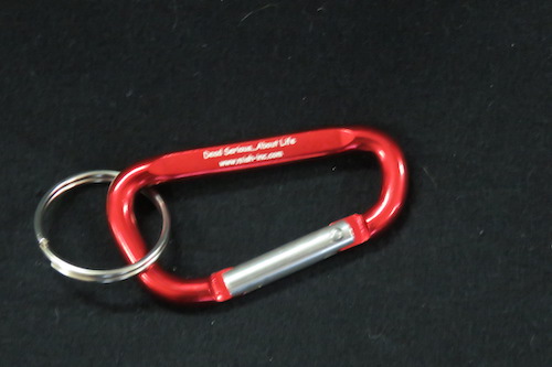 Carabiner key chain – 302 Horseshoe Crab